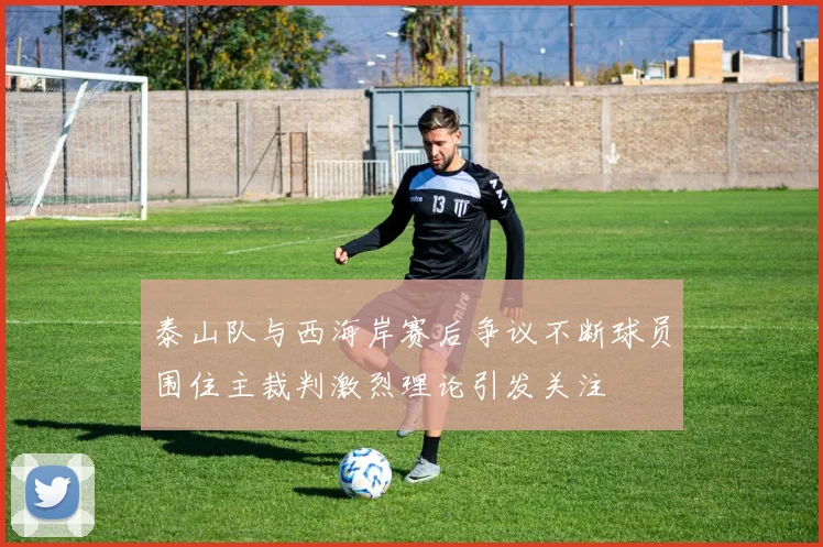泰山队与西海岸赛后争议不断球员围住主裁判激烈理论引发关注