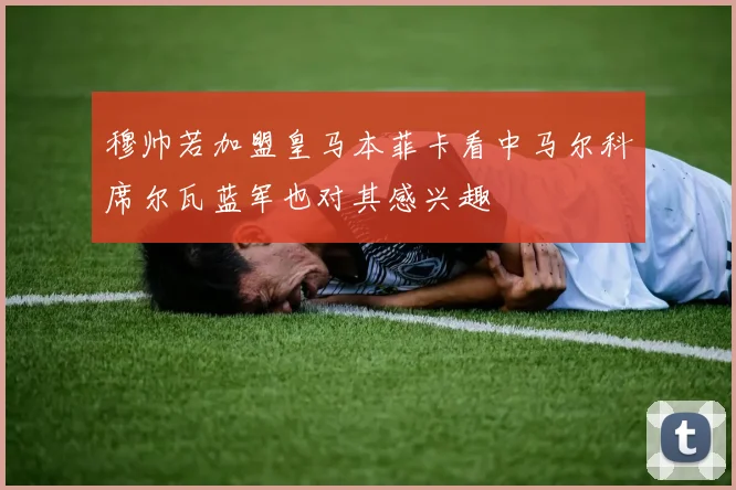 穆帅若加盟皇马本菲卡看中马尔科席尔瓦蓝军也对其感兴趣